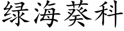 綠海葵科 (楷體矢量字庫)