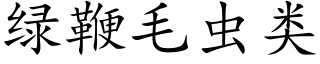 绿鞭毛虫类 (楷体矢量字库)