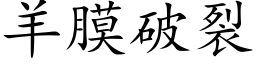 羊膜破裂 (楷体矢量字库)