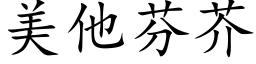 美他芬芥 (楷体矢量字库)