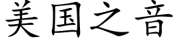 美国之音 (楷体矢量字库)