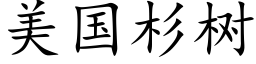 美国杉树 (楷体矢量字库)