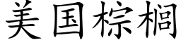 美国棕榈 (楷体矢量字库)