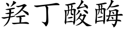 羟丁酸酶 (楷体矢量字库)