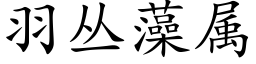 羽丛藻属 (楷体矢量字库)