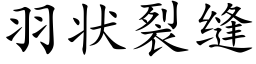 羽狀裂縫 (楷體矢量字庫)