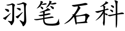 羽筆石科 (楷體矢量字庫)