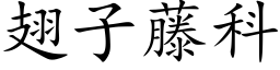 翅子藤科 (楷體矢量字庫)