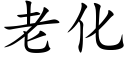 老化 (楷体矢量字库)