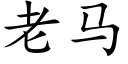 老马 (楷体矢量字库)