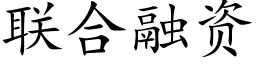 联合融资 (楷体矢量字库)