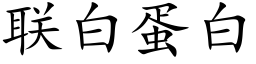 聯白蛋白 (楷體矢量字庫)