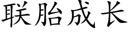 联胎成长 (楷体矢量字库)