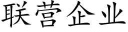 聯營企業 (楷體矢量字庫)