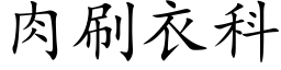 肉刷衣科 (楷体矢量字库)