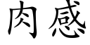 肉感 (楷体矢量字库)