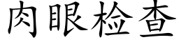 肉眼检查 (楷体矢量字库)