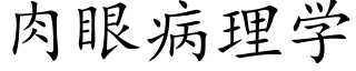 肉眼病理学 (楷体矢量字库)