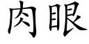 肉眼 (楷體矢量字庫)