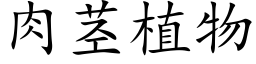 肉茎植物 (楷体矢量字库)