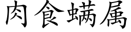 肉食螨屬 (楷體矢量字庫)