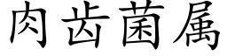 肉齿菌属 (楷体矢量字库)