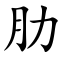 肋 (楷体矢量字库)