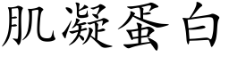 肌凝蛋白 (楷體矢量字庫)