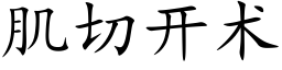 肌切开术 (楷体矢量字库)