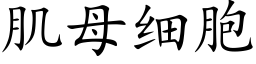 肌母細胞 (楷體矢量字庫)