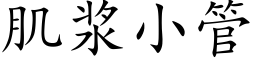 肌浆小管 (楷体矢量字库)