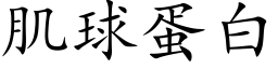 肌球蛋白 (楷體矢量字庫)