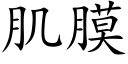 肌膜 (楷体矢量字库)