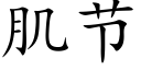 肌节 (楷体矢量字库)