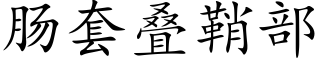 肠套叠鞘部 (楷体矢量字库)