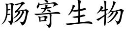 腸寄生物 (楷體矢量字庫)