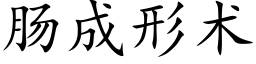 肠成形术 (楷体矢量字库)