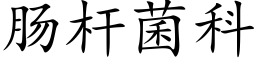 肠杆菌科 (楷体矢量字库)