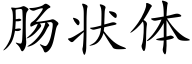 腸狀體 (楷體矢量字庫)