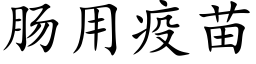 腸用疫苗 (楷體矢量字庫)