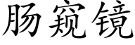 肠窥镜 (楷体矢量字库)