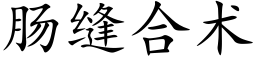 腸縫合術 (楷體矢量字庫)