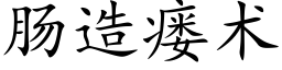 肠造瘘术 (楷体矢量字库)