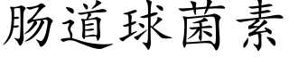 肠道球菌素 (楷体矢量字库)