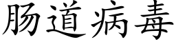 肠道病毒 (楷体矢量字库)