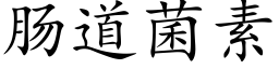 肠道菌素 (楷体矢量字库)