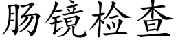 肠镜检查 (楷体矢量字库)