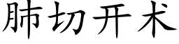 肺切開術 (楷體矢量字庫)