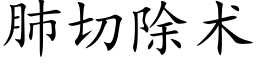 肺切除術 (楷體矢量字庫)