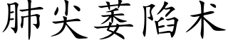 肺尖萎陷術 (楷體矢量字庫)